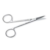 Scissor Iris Straight Delicate 4 1/2''