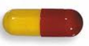 Amoxicillin 500mg 500/Bottle product image