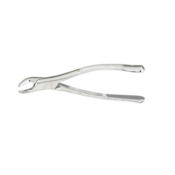 Forcep Extracting #151