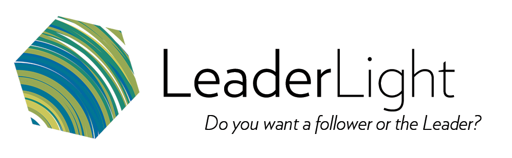 LeaderLight Flip Bracket product image