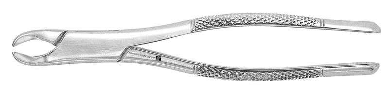 Extracting Forcep #3F product image