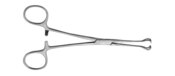 Tissue Forcep 5.5'' 4X5