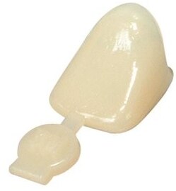 Polycarbonate Crowns # 12 5/Bx product image
