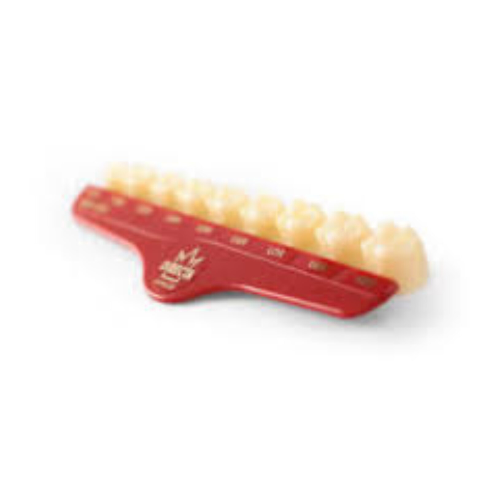Directa Poly Molar Crown U6R Pack of 3 product image