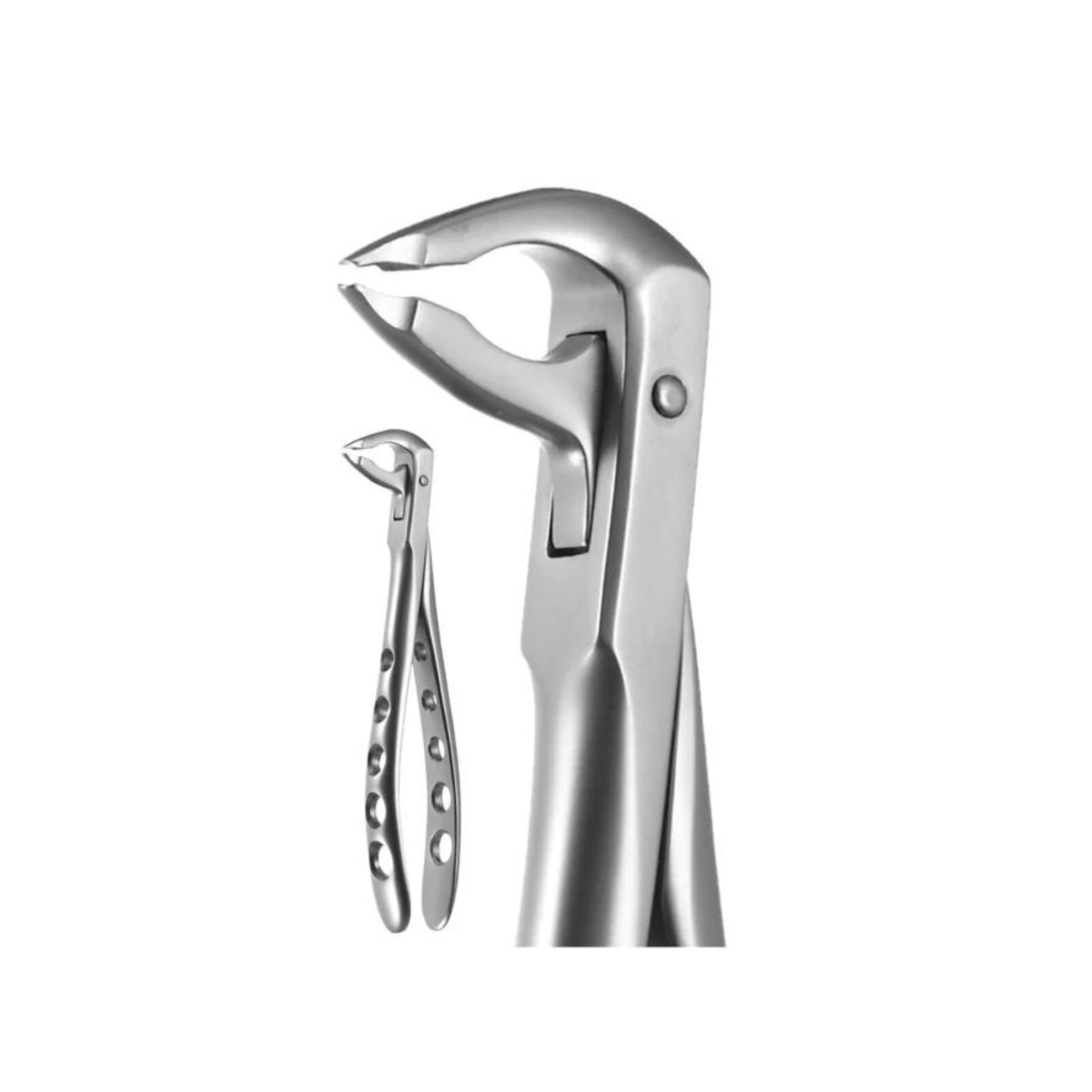 X-TRAC Extracting Forceps Size 7301 Lower Molars Ash Pattern Ea thumbnail 8