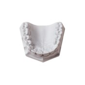 Orthodontic Stone White 33lb/15kg