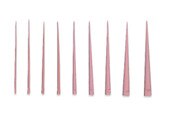 Gutta Percha Medium