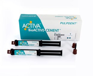 ACTIVA BioActive Cement, Value Pack, Translucent, 2/Pk, VC2T thumbnail 7