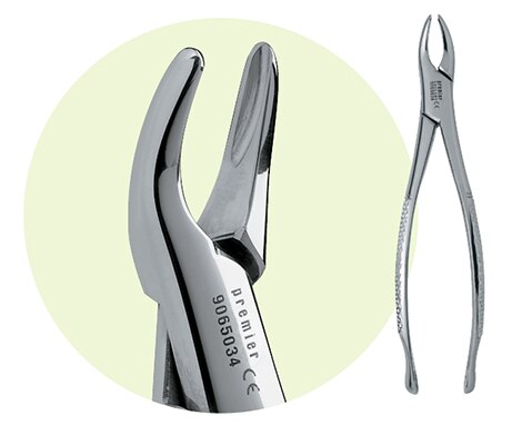 Extracting Forceps Size 150S Adult Ea thumbnail 4