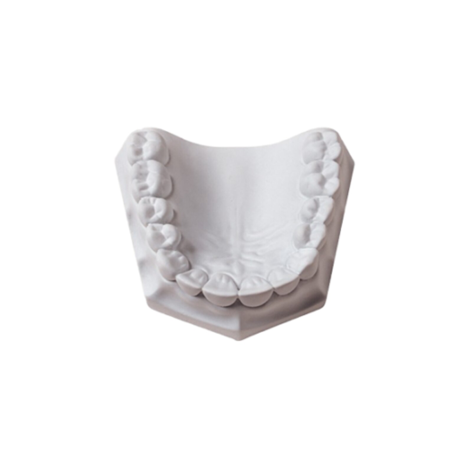 Orthodontic Plaster 33lb/15kg thumbnail 5