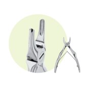 Forcep Child Size C4 Maxillary