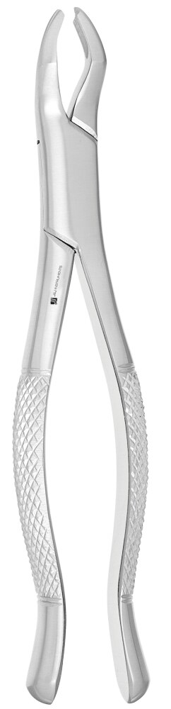 Extracting Forcep #53R product image