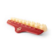 Directa Temp Poly Crowns Molar Translucent L3L 3/Pk