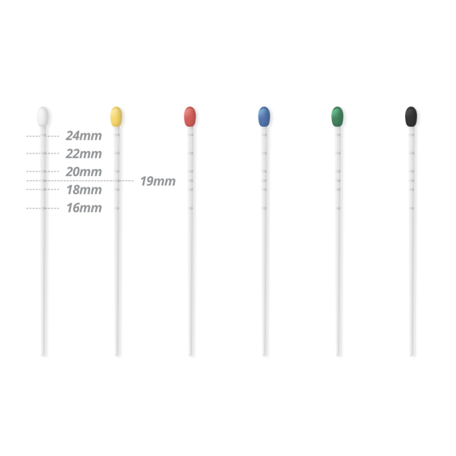 Absorbent Paper Points .06 Taper 60/Pk #60 product image