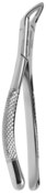 Pedo Lower Extraction Forcep