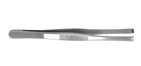 Tissue Forcep 5'' 3X4 product image