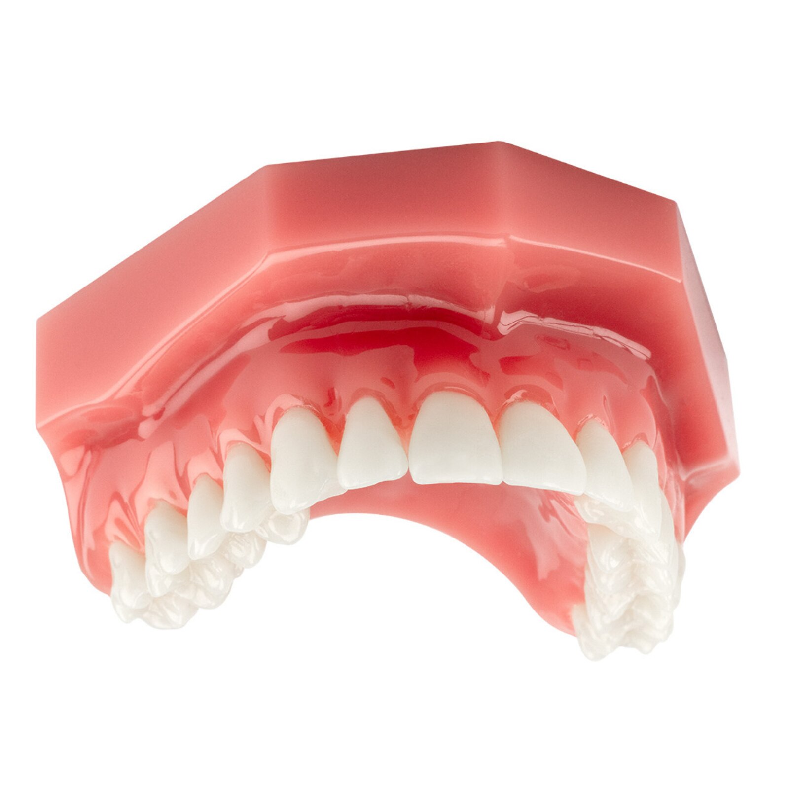 DentXpin Standard Kit 40/Pk thumbnail 6