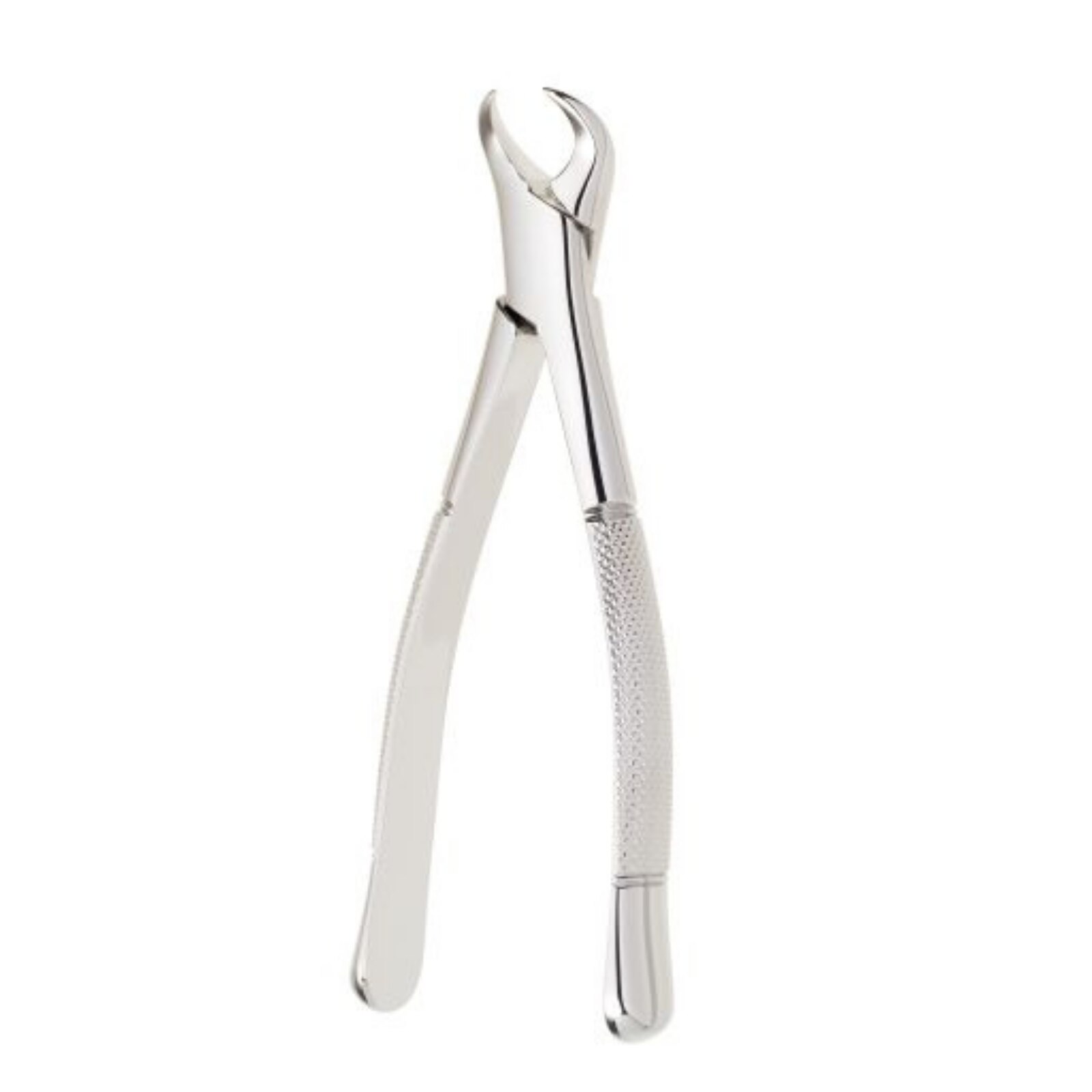 Extracting Forceps Size 16 Straight Ea thumbnail 3