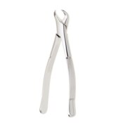 Forceps Cowhorn #16 Straight Handle