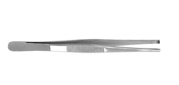 Tissue Forcep 5'' 2X3 product image