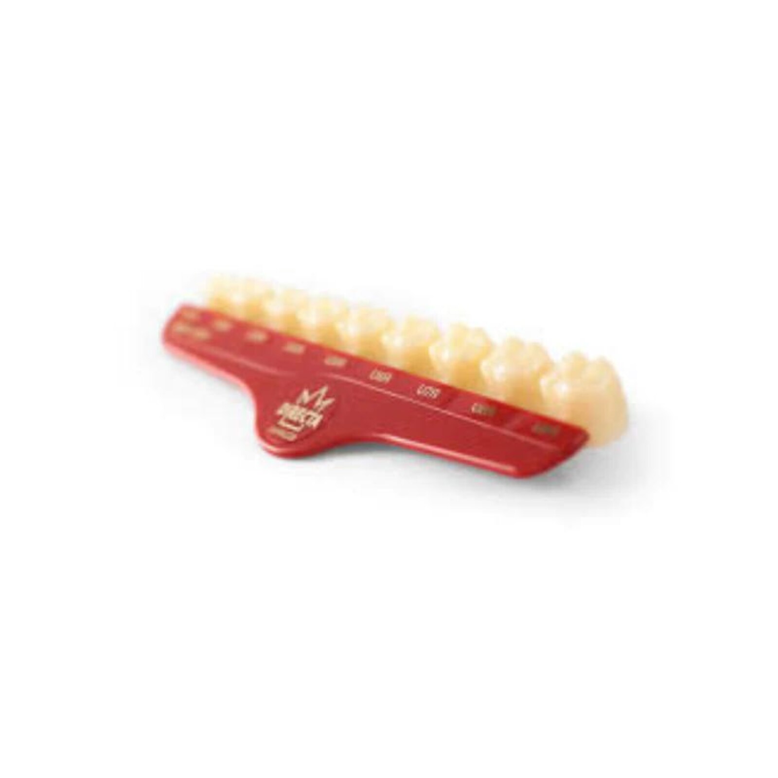 Directa Crowns Size 47 Upper Bicuspid Refills 5/Pk thumbnail 3