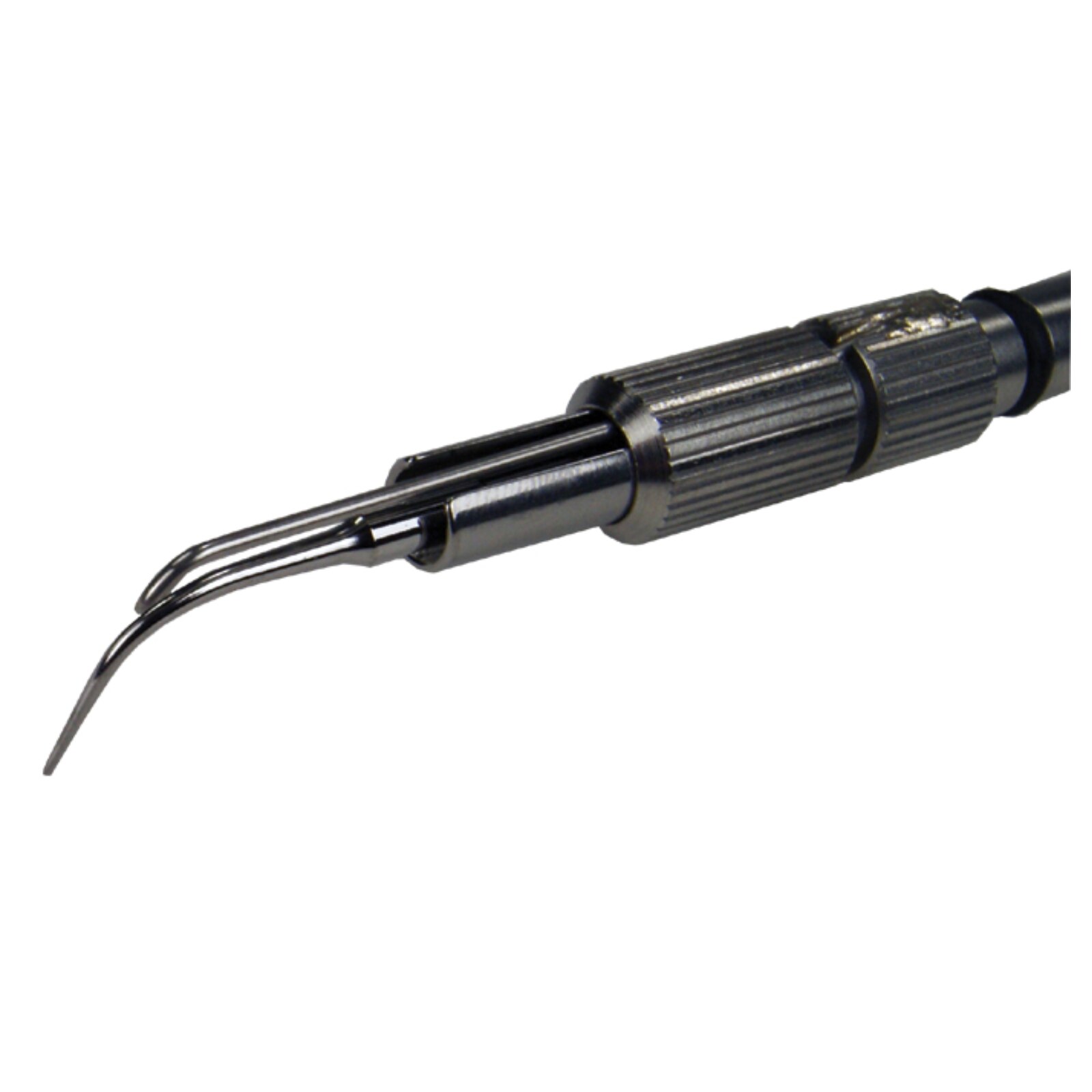 Bucky Beaver Insert Original 25K thumbnail 3