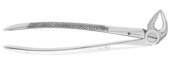 Extracting Forcep #33 English