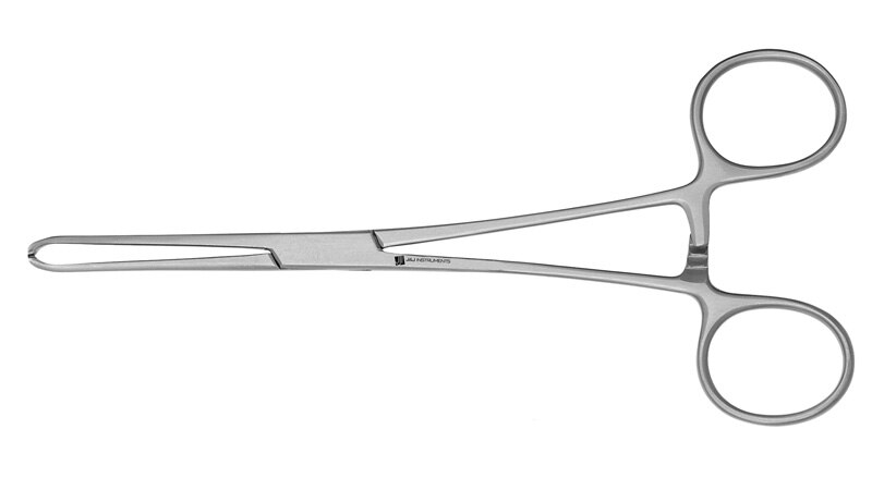Allis Tissue Forcep 6'' 4X5 product image
