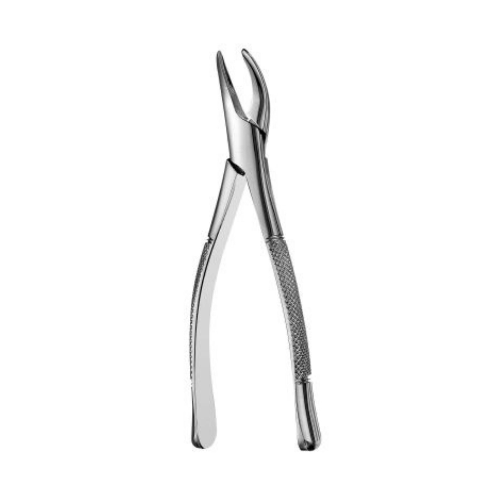 69 Tomes Forceps, F69 thumbnail 6