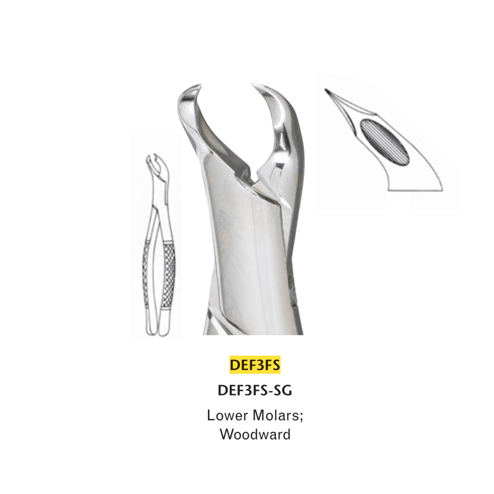 Extracting Forceps Size 3F Lower Molars Dr. Woodard Ea thumbnail 2