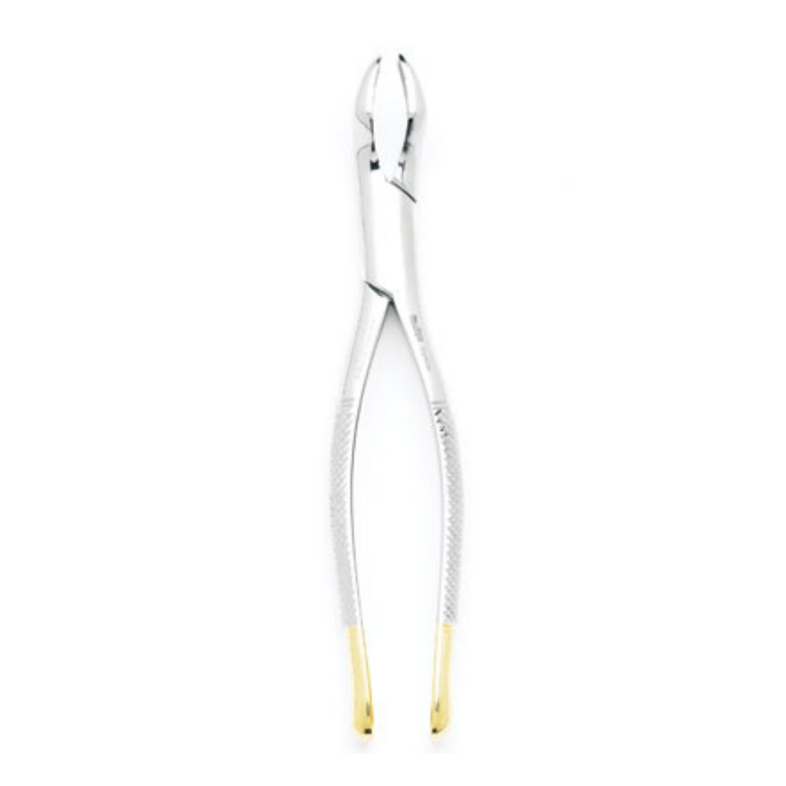 #69 Extracting Forceps thumbnail 3