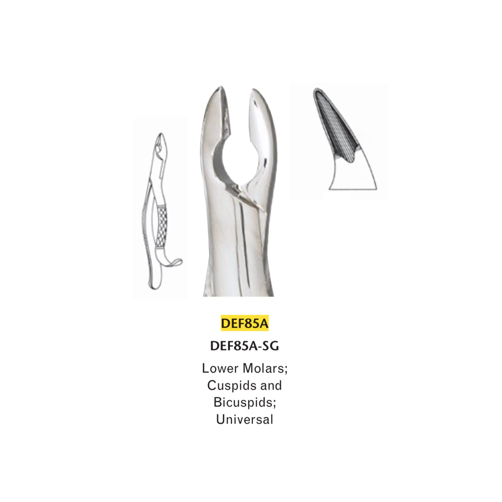 #85A Extracting Forceps thumbnail 2