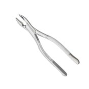 Extracting Forceps 150AS