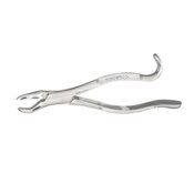 Extracting Forceps 151S