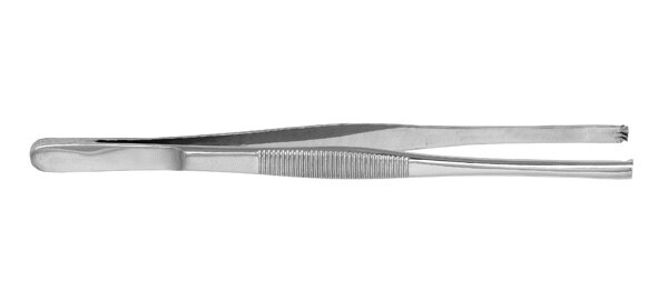 Tissue Forcep 6'' 3X4 product image