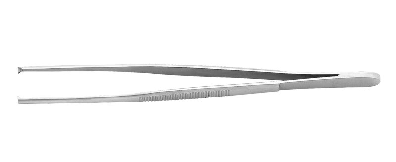 Tissue Forcep 5.5'' 2X3 product image