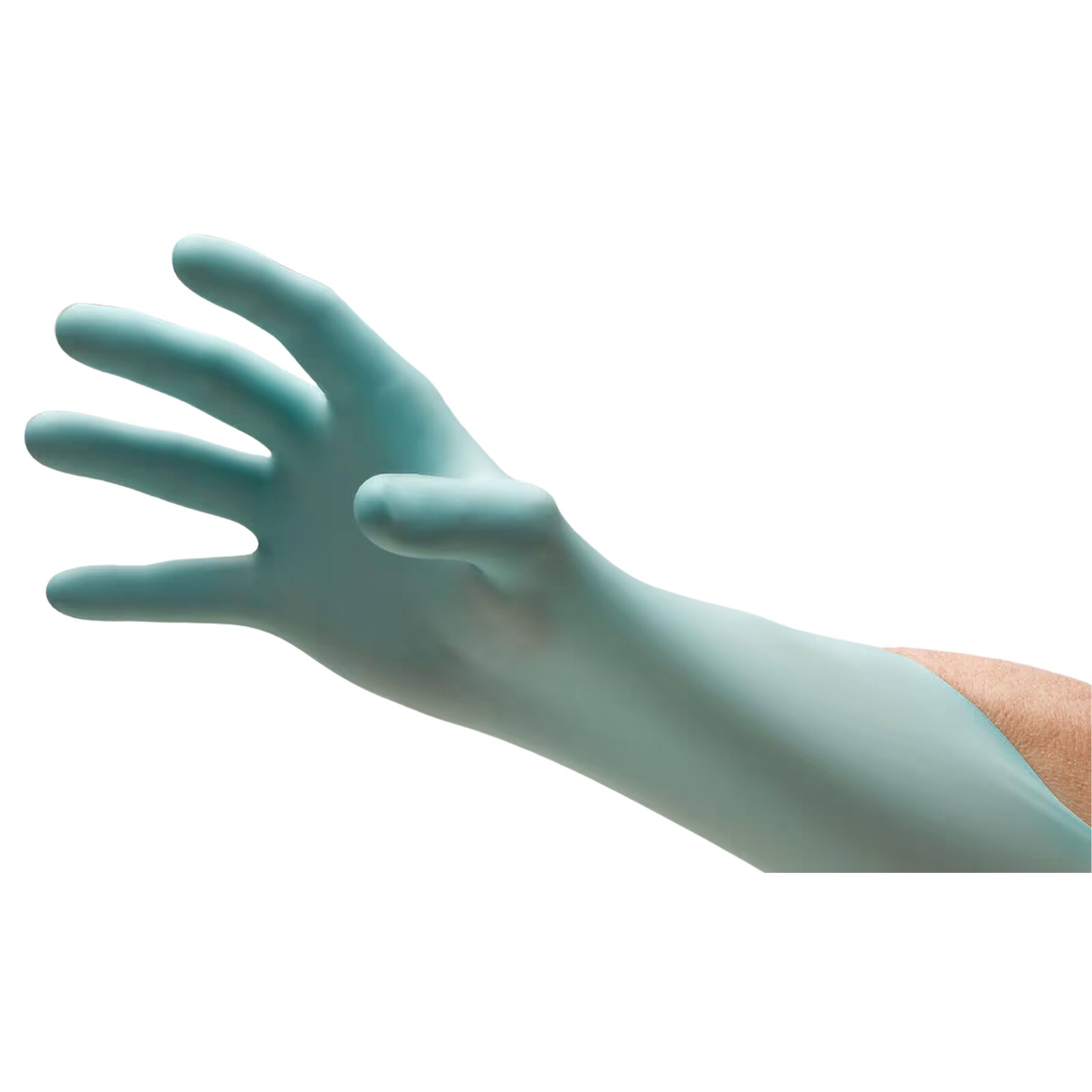 Pulse CR PF Polychloroprene Synthetic Exam Gloves Aqua Extra-Small 200/Box 194052 thumbnail 4