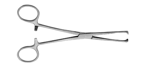 Allis Tissue Forcep 6'' 5X6 product image