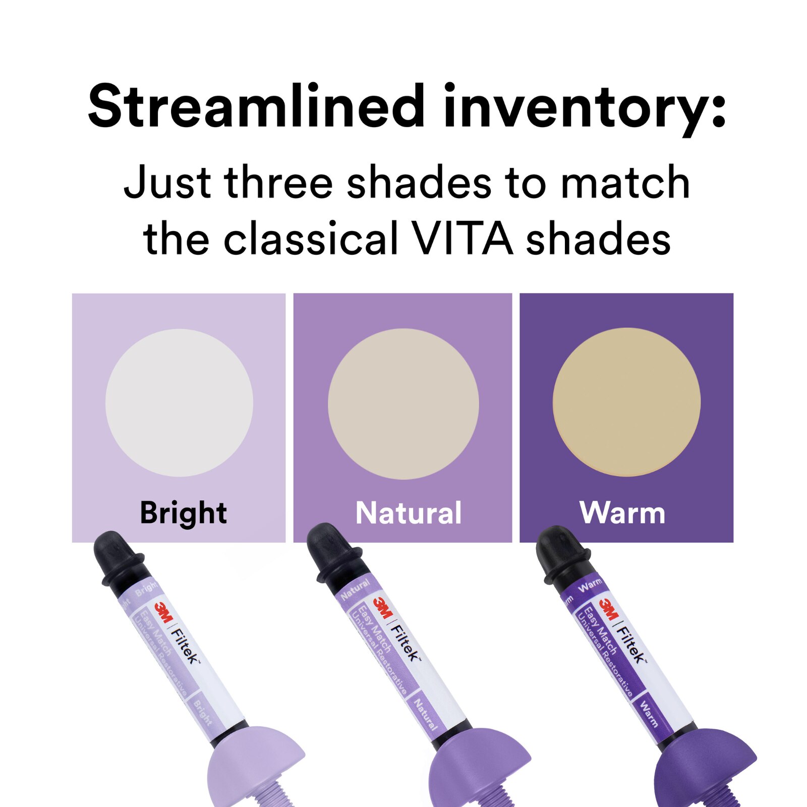 Filtek Easy Match Universal Restorative 4g Syringe 1/Pk Natural thumbnail 10