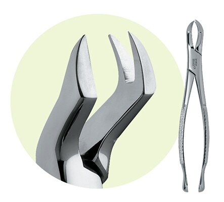 Extracting Forceps Size 88L Adult Ea product image