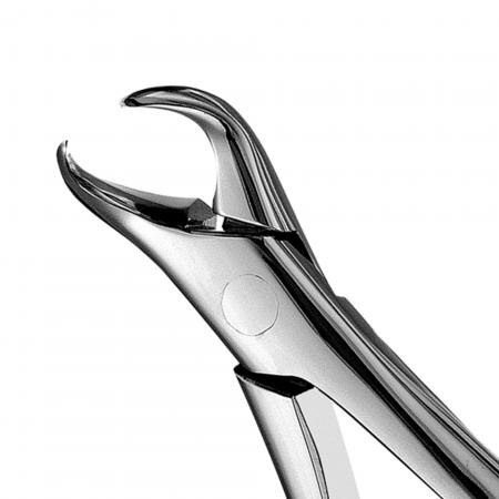 Extracting Forceps, Cowhorn, # 23, 1/Pk, F23 thumbnail 10