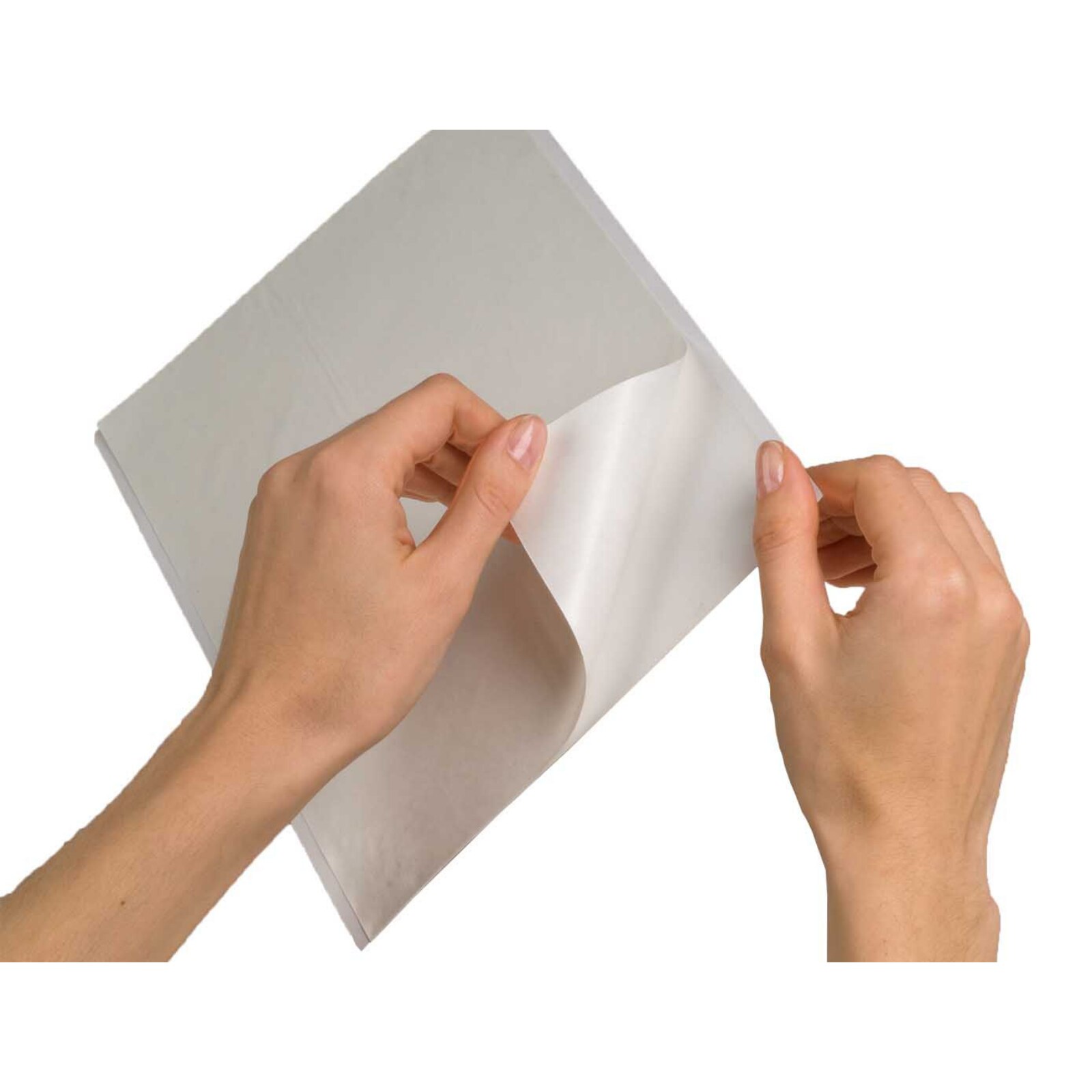 Cleaning Sheets for ScanX Swift 12/Pk product image