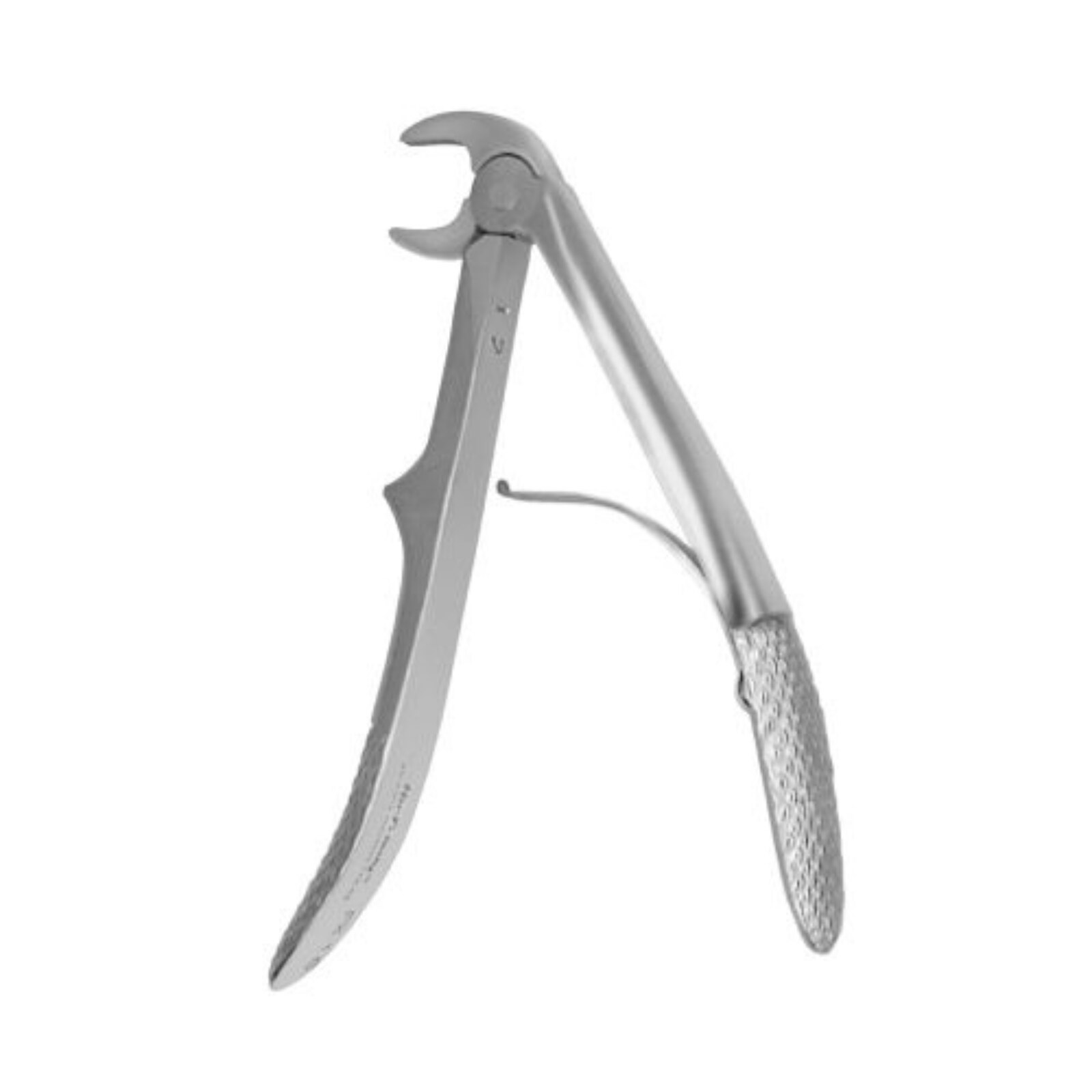 1C European Pedo Forceps, Anterior, FX1CE thumbnail 4