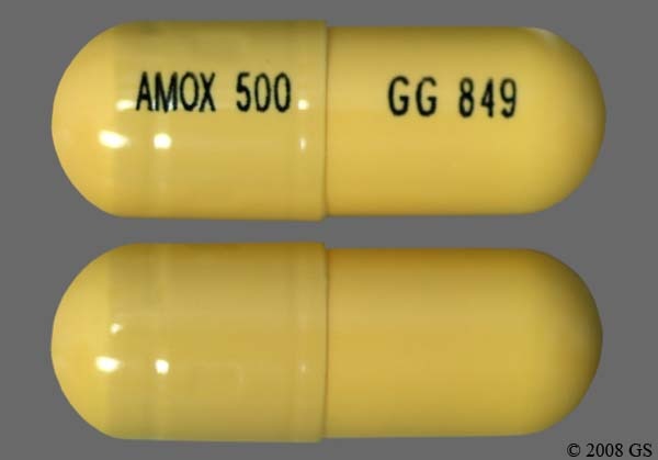 Amoxicillin 500mg 100/Bottle product image