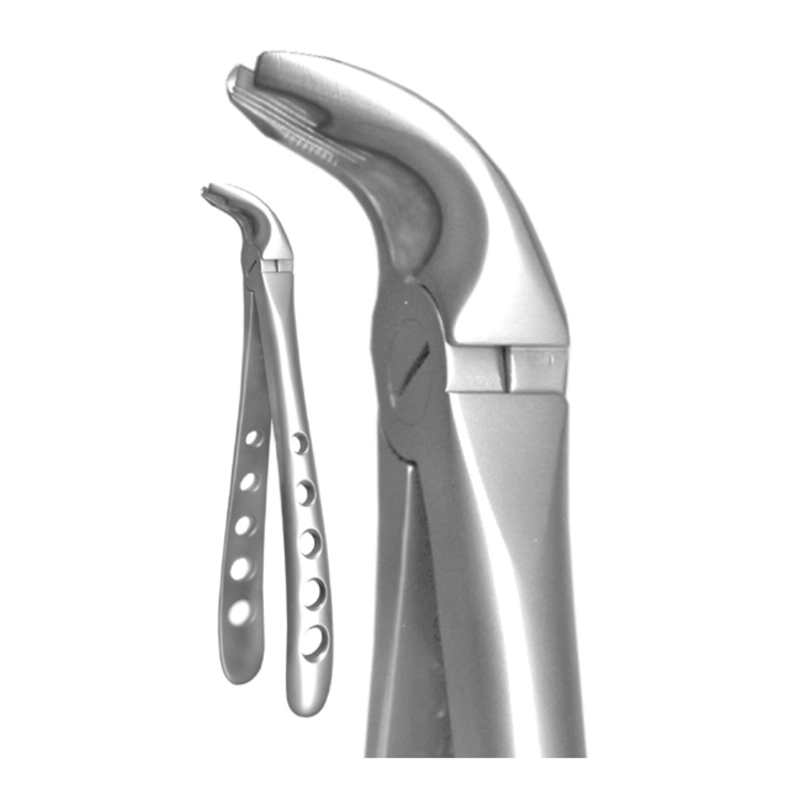 X-TRAC Extracting Forceps Size 2190 Notched Lower Universal Ea product image