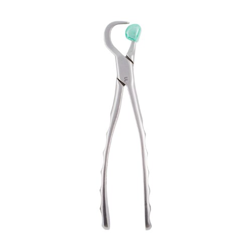 Physics Forceps Upper Right product image