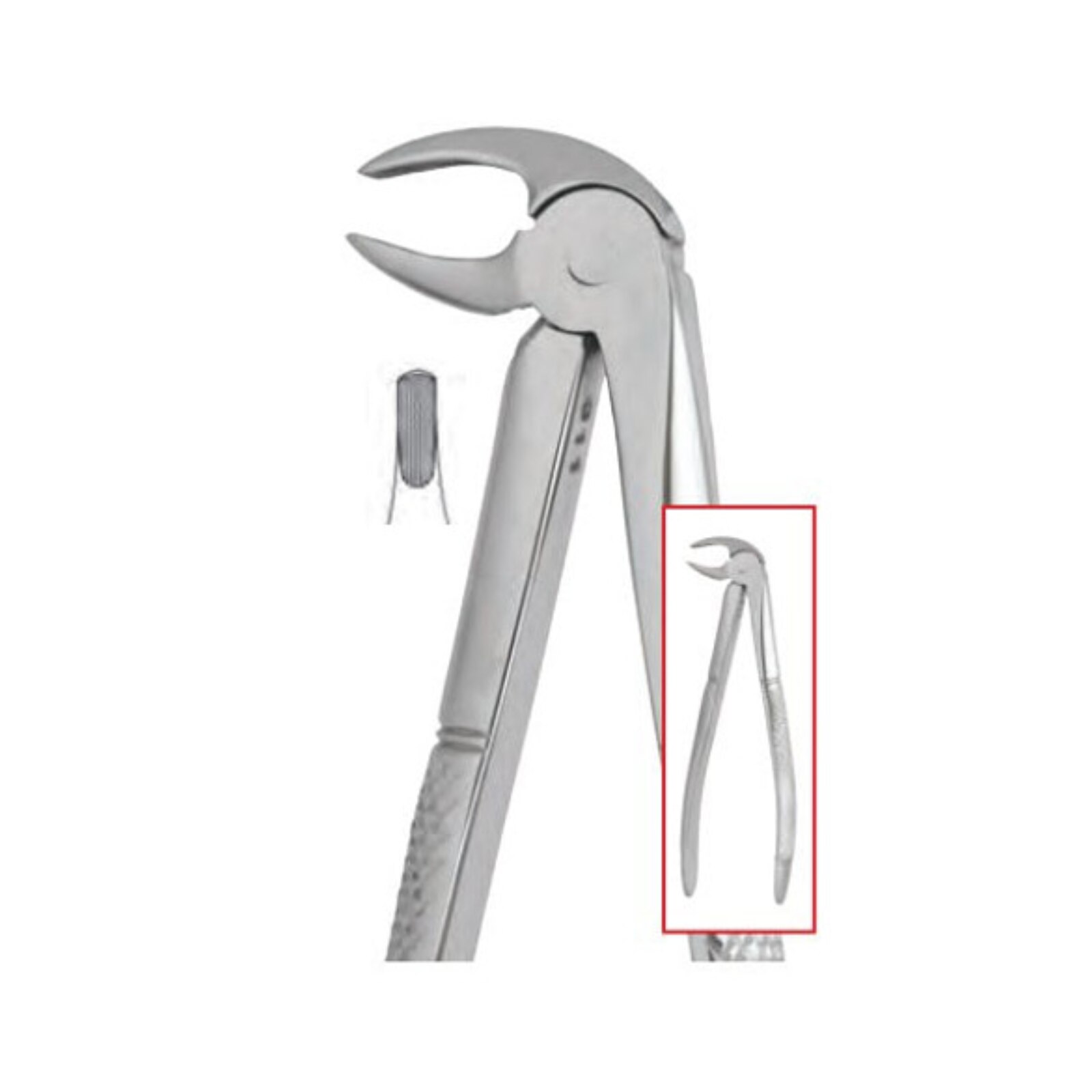 Extracting Forceps Size 13 English Ea - Extracting Forceps Size 13 English Ea - Image 1