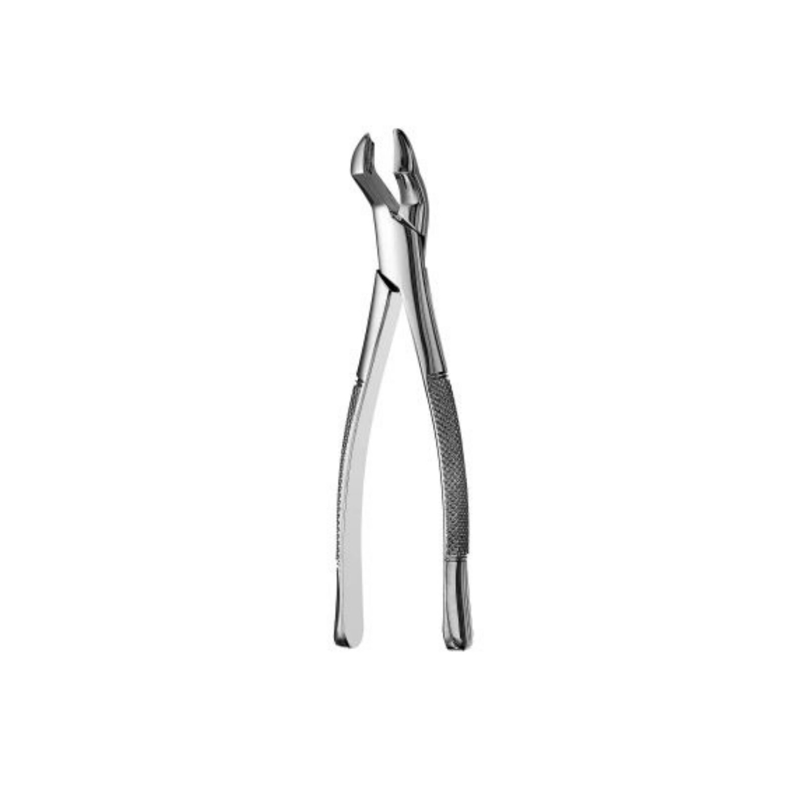 53L Forceps, F53L thumbnail 6