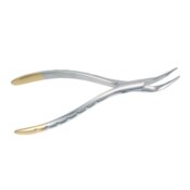 Root Forceps TC