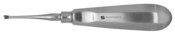 Molt Curette #1